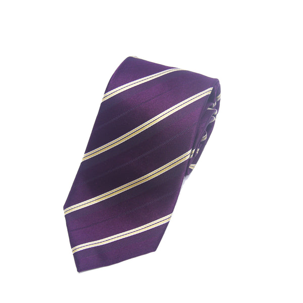 Lined Caspian Tie in Purple - Giorgio Mandelli