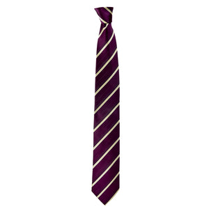 Lined Caspian Tie in Purple - Giorgio Mandelli